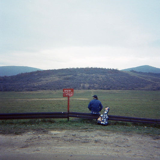 'COLORS AT DUSK' VINYL